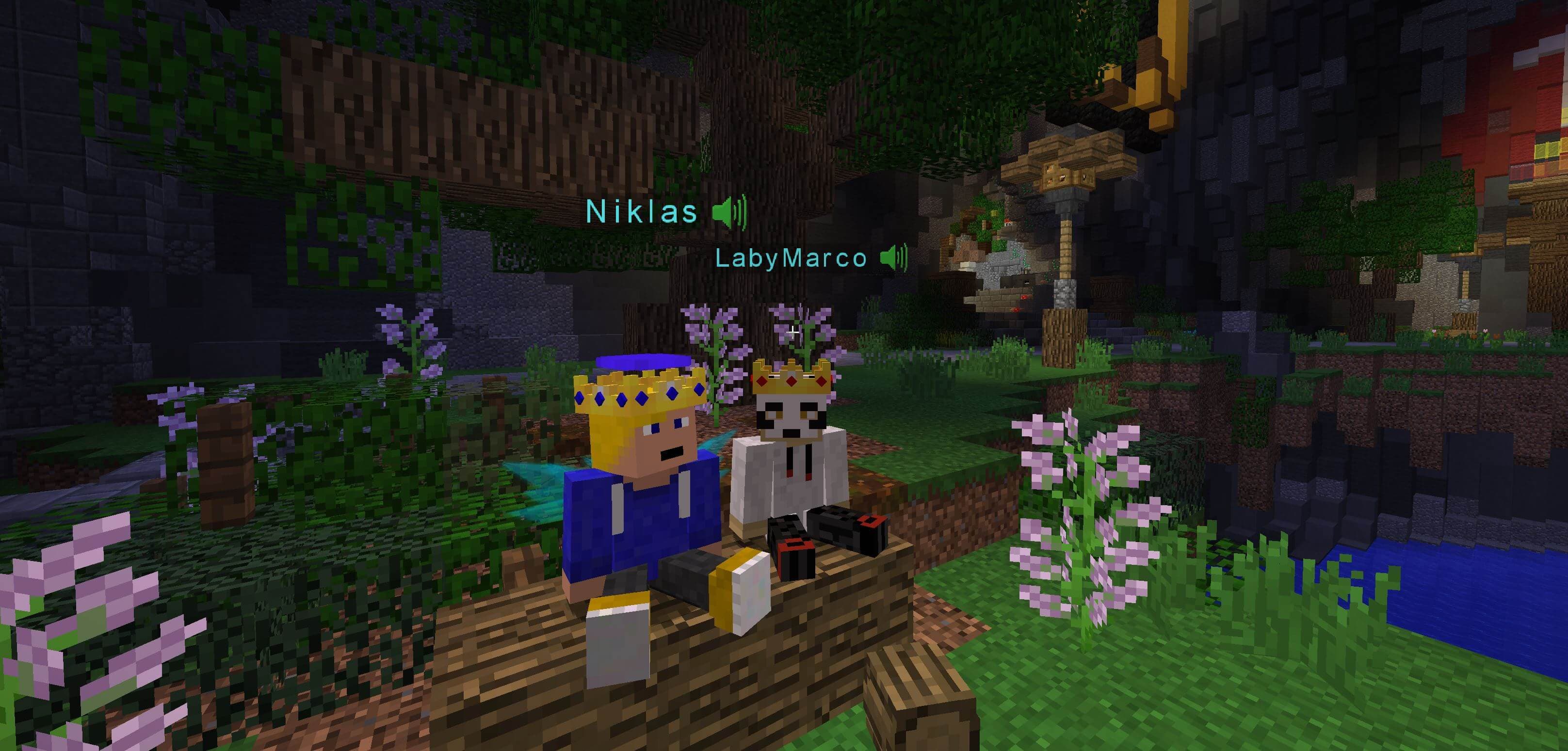 Zwei Spieler unterhalten sich per Voice Chat in Minecraft
