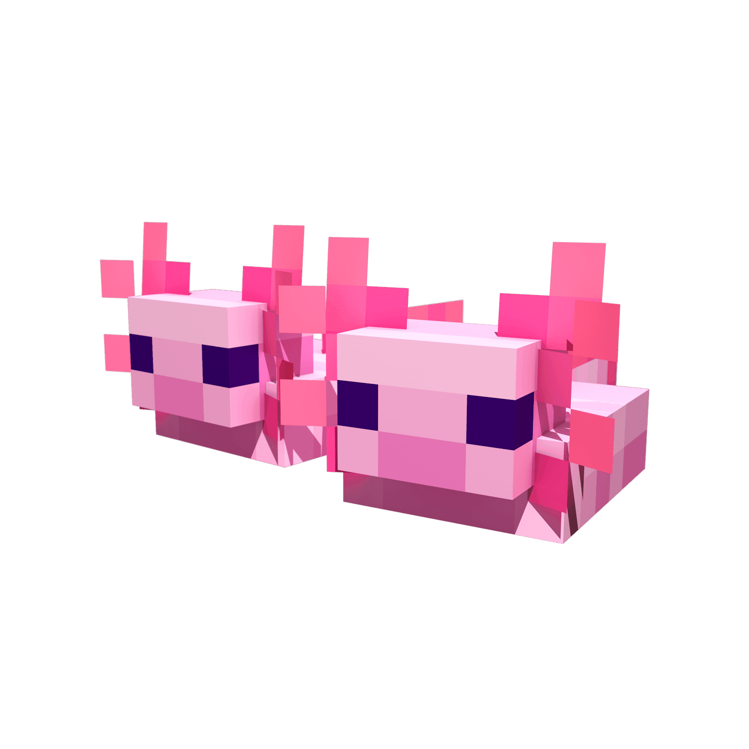 Animal Shoes
