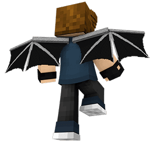 LabyWings