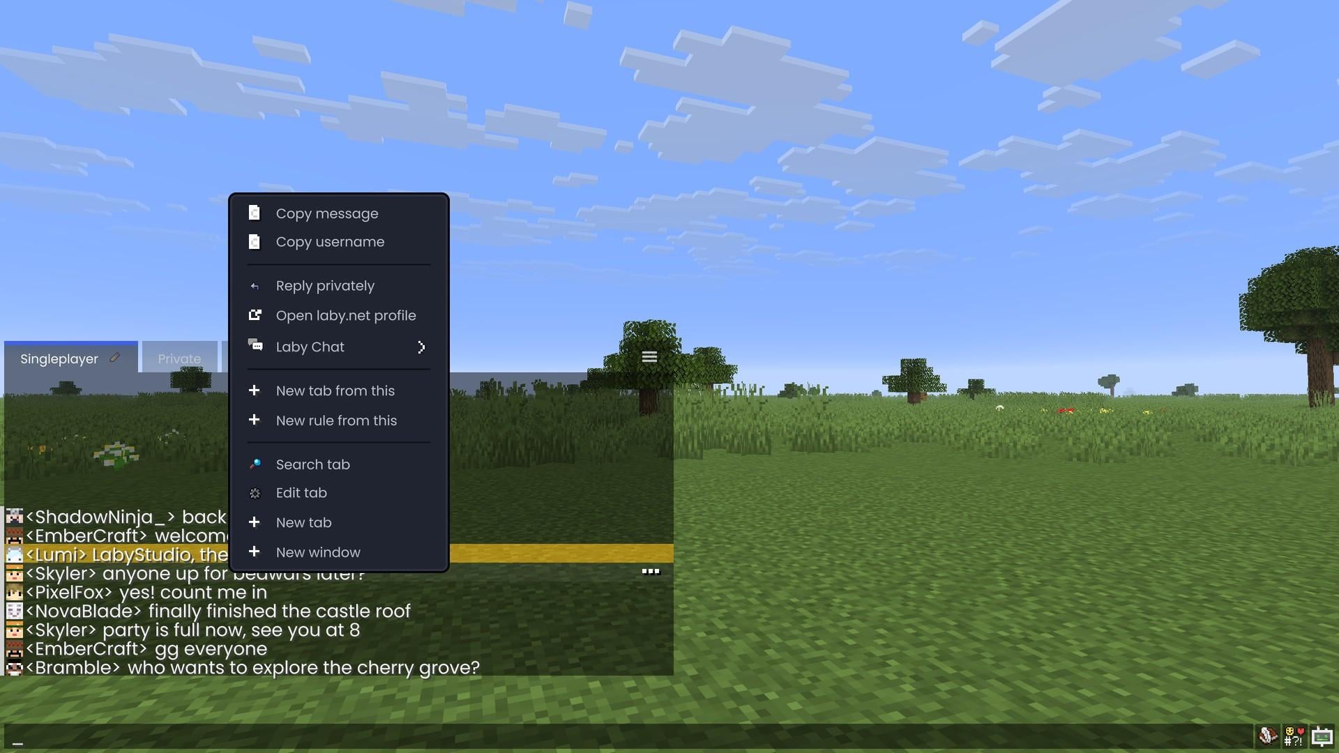 The message menu in the Minecraft chat