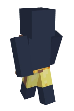 Translator Shorts - Minecraft skin clothing