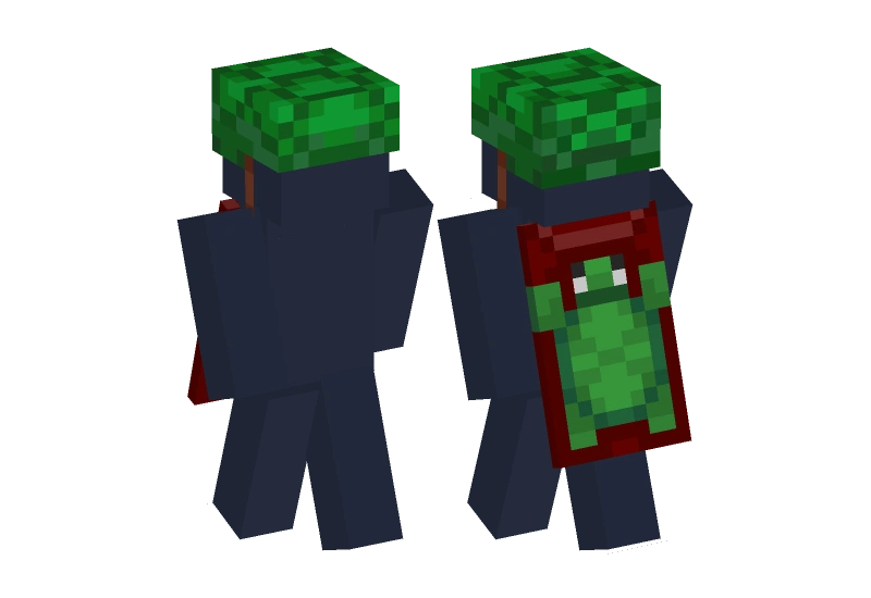 TurtleHelmet - Minecraft Skin Clothing | Laby