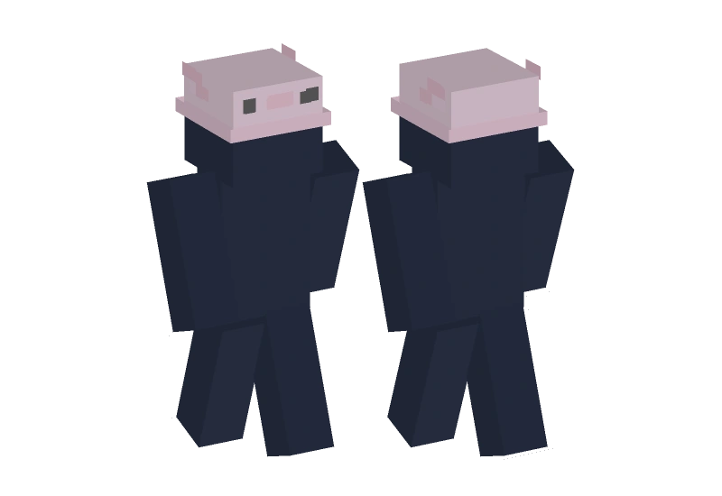Axolotl hat pink - Minecraft Skin Clothing | Laby