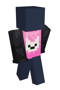 Bubblegum Cat Raglan Tee - Minecraft skin clothing