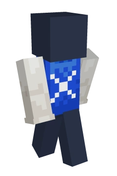 Cobalt X Raglan Tee - Minecraft skin clothing