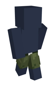 Military Cargo Shorts - Minecraft skin clothing