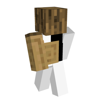 Wood Vanilla Block Minecraft Skin