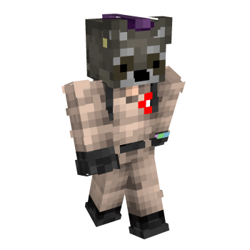 Minecraft Racooon Skin Raccoon Minecraft Skins