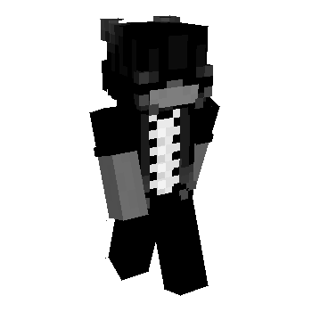 Java Skins de Minecraft