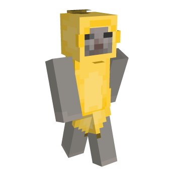 Classic Cat Minecraft Skin