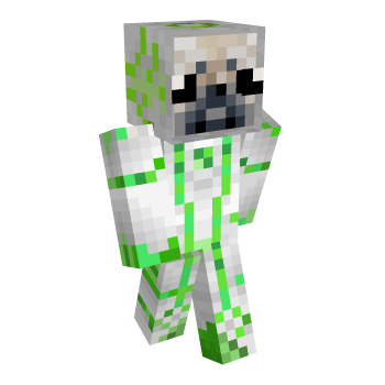 Pug Emerald Minecraft Skin