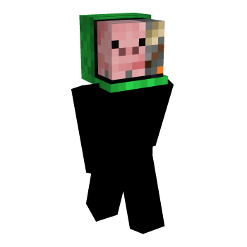 Toy Pig Minecraft Skin