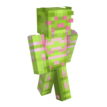 Sbr Spin Minecraft Skin