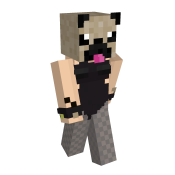 Pug Minecraft Skin