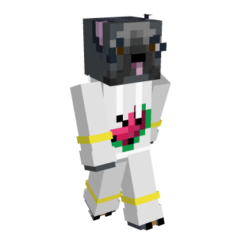 Song Cute Minecraft Skin