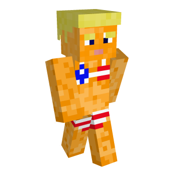 Idiot Expresident Minecraft Skin