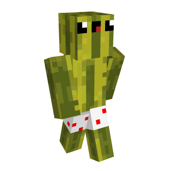 Watermelon Derp Minecraft Skin