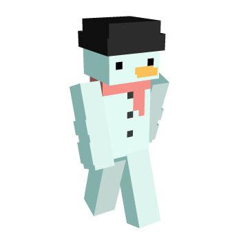 Winter Minecraft Skin
