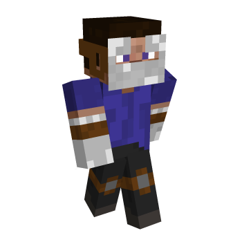 2009 Vintage Minecraft Skin
