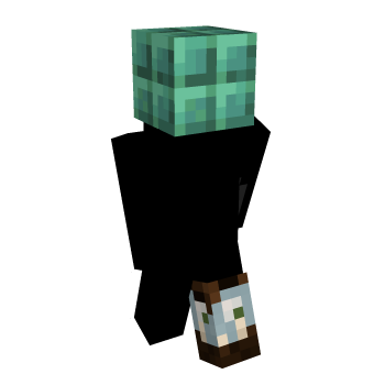Vanilla Block Inner Layer Block Minecraft Skin