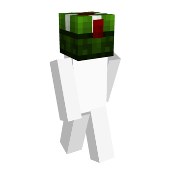 Present Vanilla Block Minecraft Skin