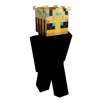 PetPlugin Minecraft Skin
