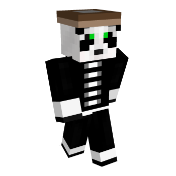 Fighter Warrior Minecraft Skin