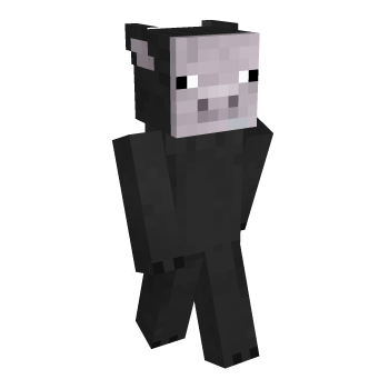 Custom Minecraft Skin