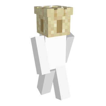 Summer Beach Minecraft Skin