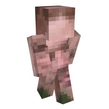 Face Minecraft Skin