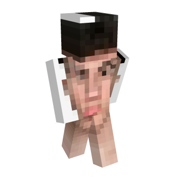 Face Minecraft Skin