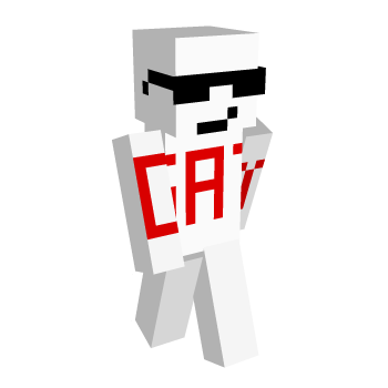 Gay Minecraft Skin