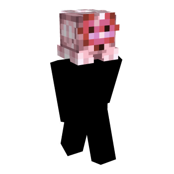 The Legend Of Zelda PetPlugin Minecraft Skin