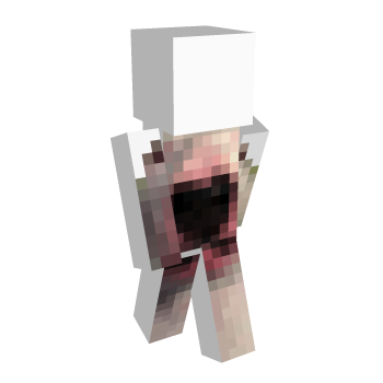 Walter Face Minecraft Skin