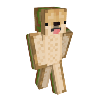 Food Minecraft Skin