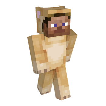 Favorite Steve Minecraft Skin