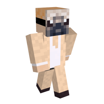 Pug Minecraft Skin