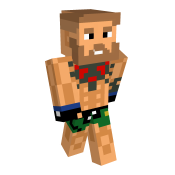 Fighter Minecraft Skin
