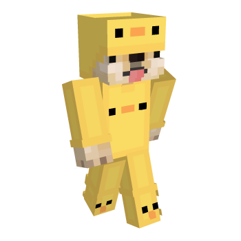 Doge Minecraft Skin