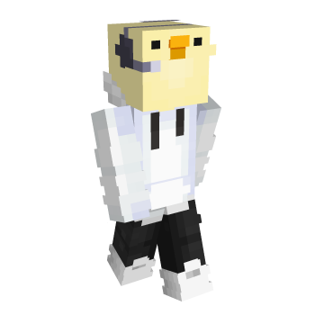 Duck Hoodie Minecraft Skin