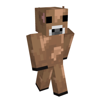 Base Minecraft Skin