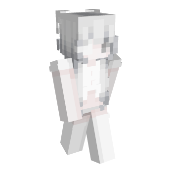 Gray Minecraft Skin
