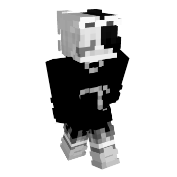Black And White Minecraft Skin