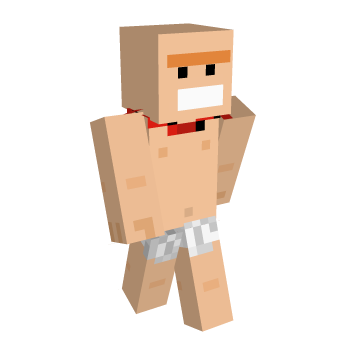 Underpants Epic Gamer Minecraft Skin