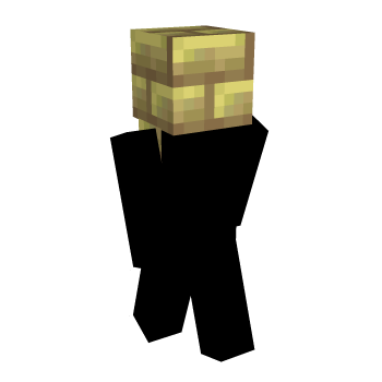 Stone Vanilla Block Minecraft Skin