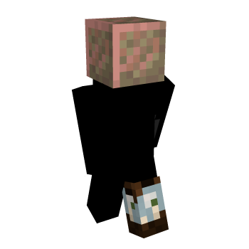 Vanilla Block Inner Layer Block Minecraft Skin