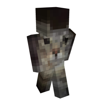 Kitty Minecraft Skin