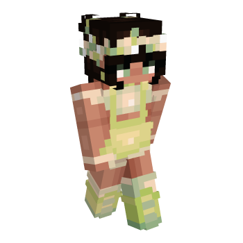 Entry Minecraft Skin