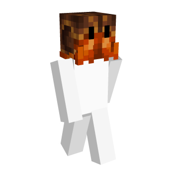 Beach PetPlugin Minecraft Skin