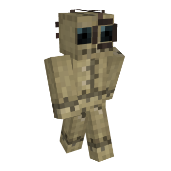 Toy Cloth Minecraft Skin